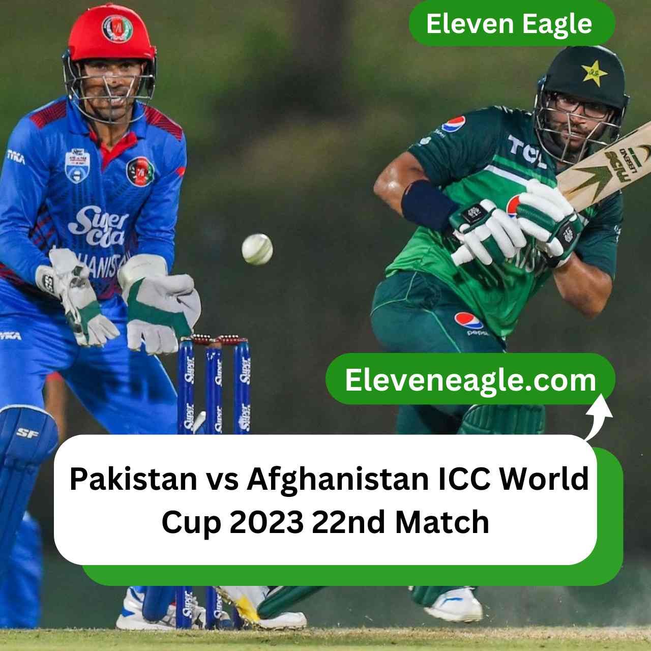 Pakistan vs Afghanistan ICC Cricket World Cup 2023 22nd Match: Pitch Report and Playing XI, When and Where PAK VS AFG Match?