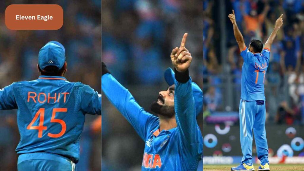 India In World Cup Final: Mohammad Shami's 'power' of wickets, India reached the final