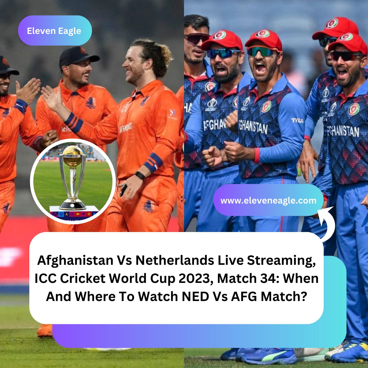 Afghanistan Vs Netherlands Live Streaming, ICC Cricket World Cup 2023, Match 34: When And Where To Watch NED Vs AFG Match?