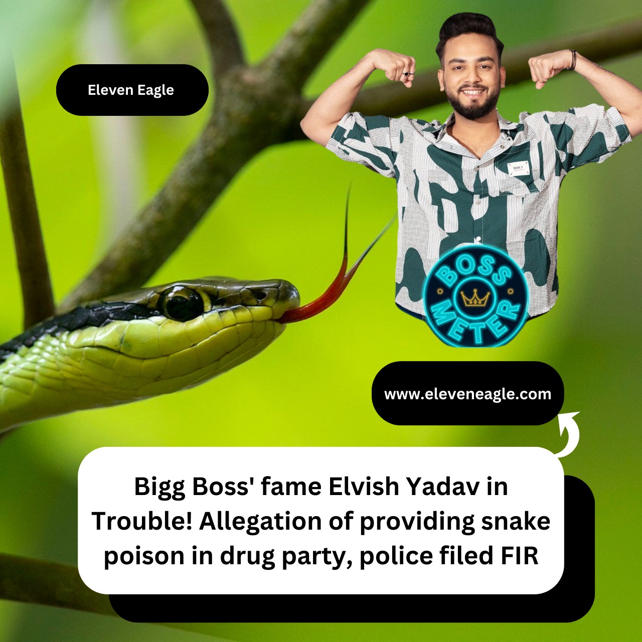 Elvish Yadav: Bigg Boss' fame Elvish Yadav in Trouble! 5 cobras and venom found in raid, Police filed an FIR