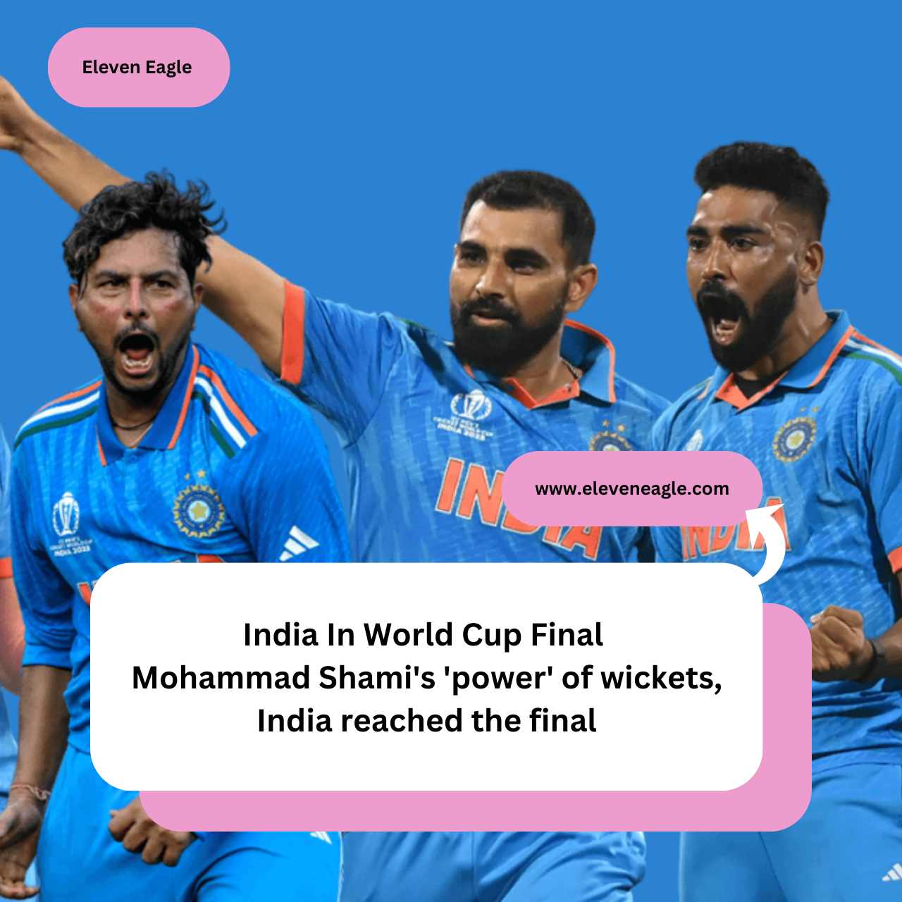 India In World Cup Final: Mohammad Shami's 'power' of wickets, India reached the final