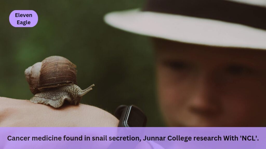 Cancer Medicine: Cancer medicine found in snail secretion, Junnar College research With 'NCL'.