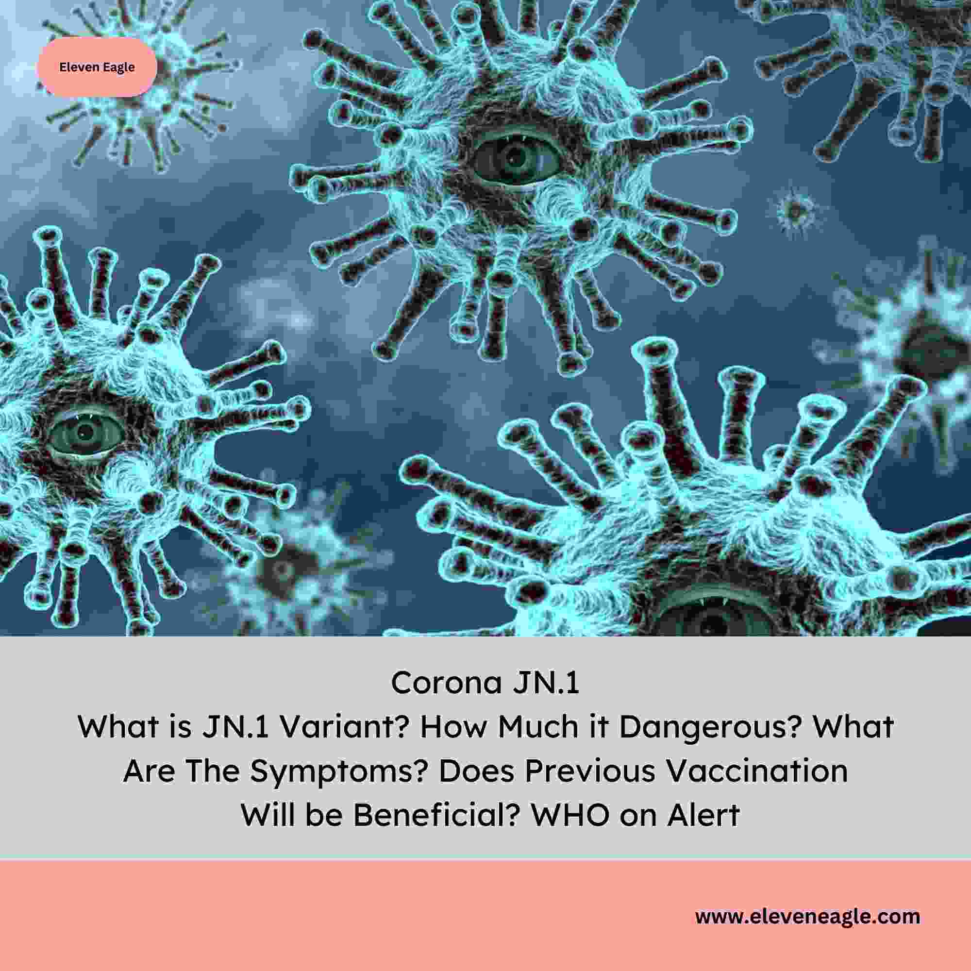 Corona JN.1: What is JN.1 Variant? How Much it Dangerous? What Are The Symptoms? Does Previous Vaccination Will be Beneficial? WHO on Alert