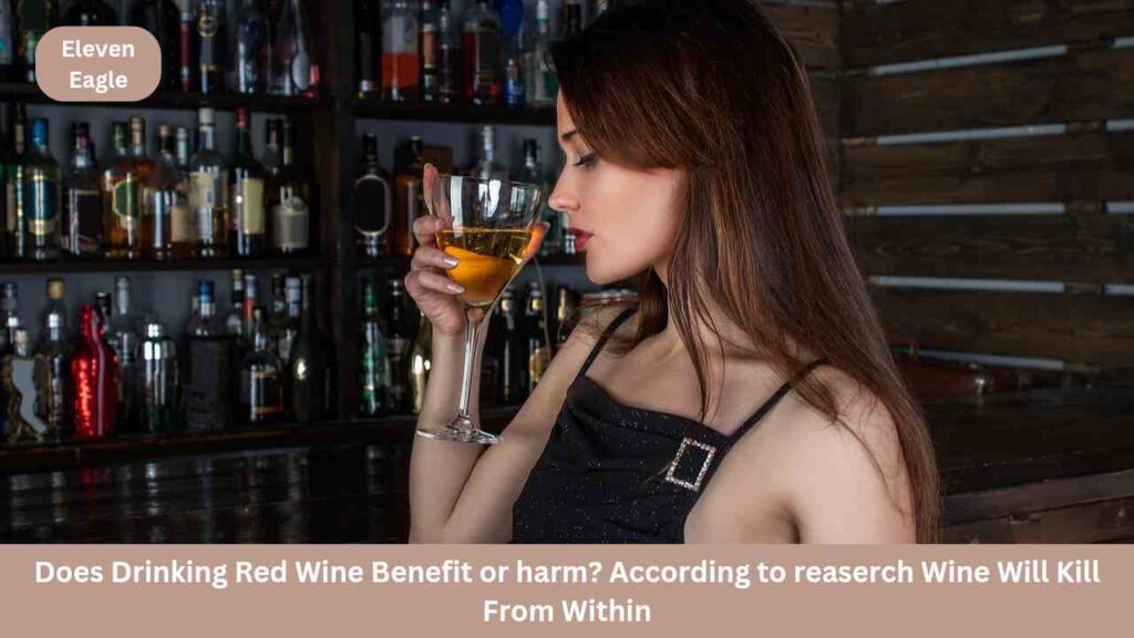 Wine: Does Drinking Red Wine Benefit or harm? According to reaserch Wine Will Kill From Within