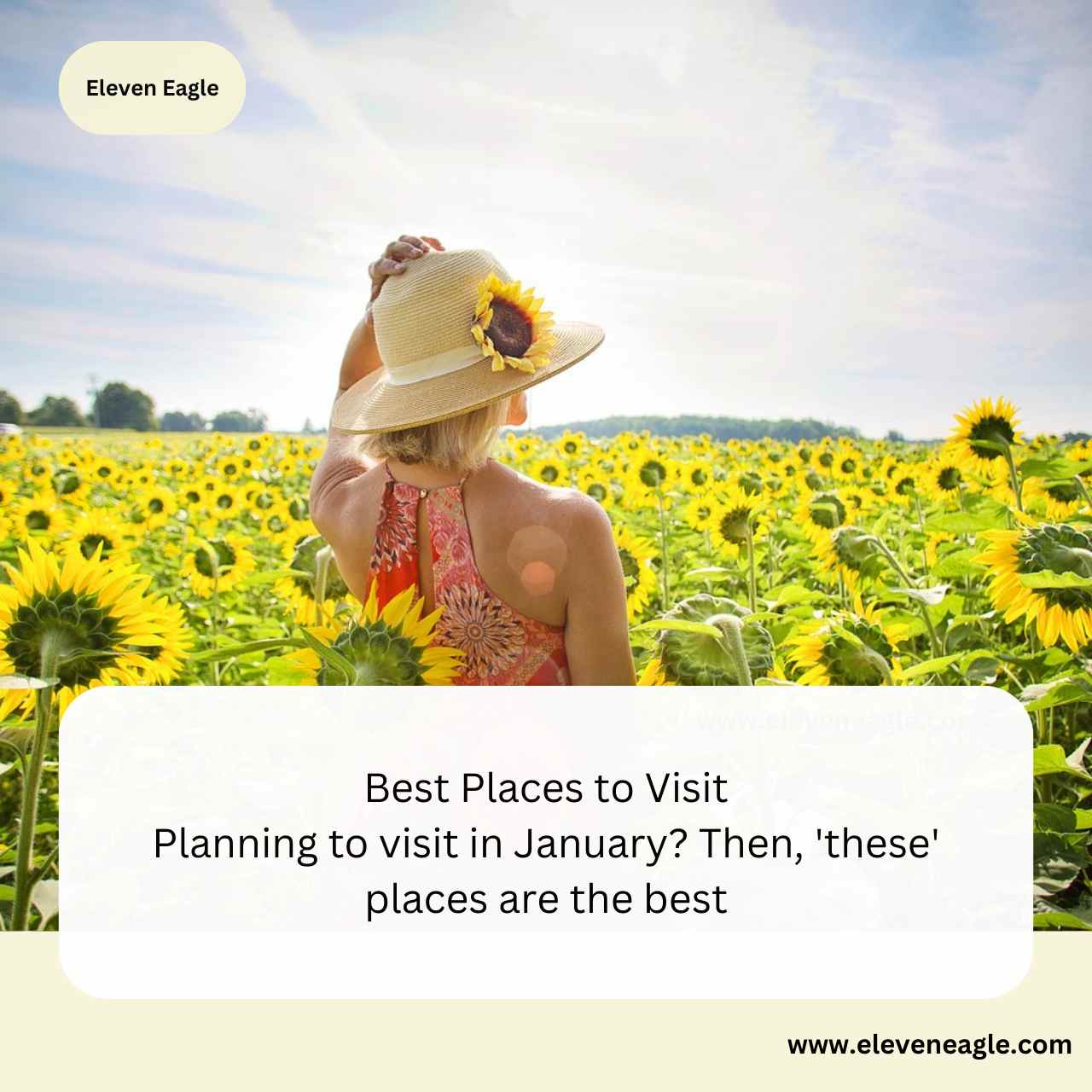 Best Places to Visit: Planning to visit in January? Then, 'these' places are the best