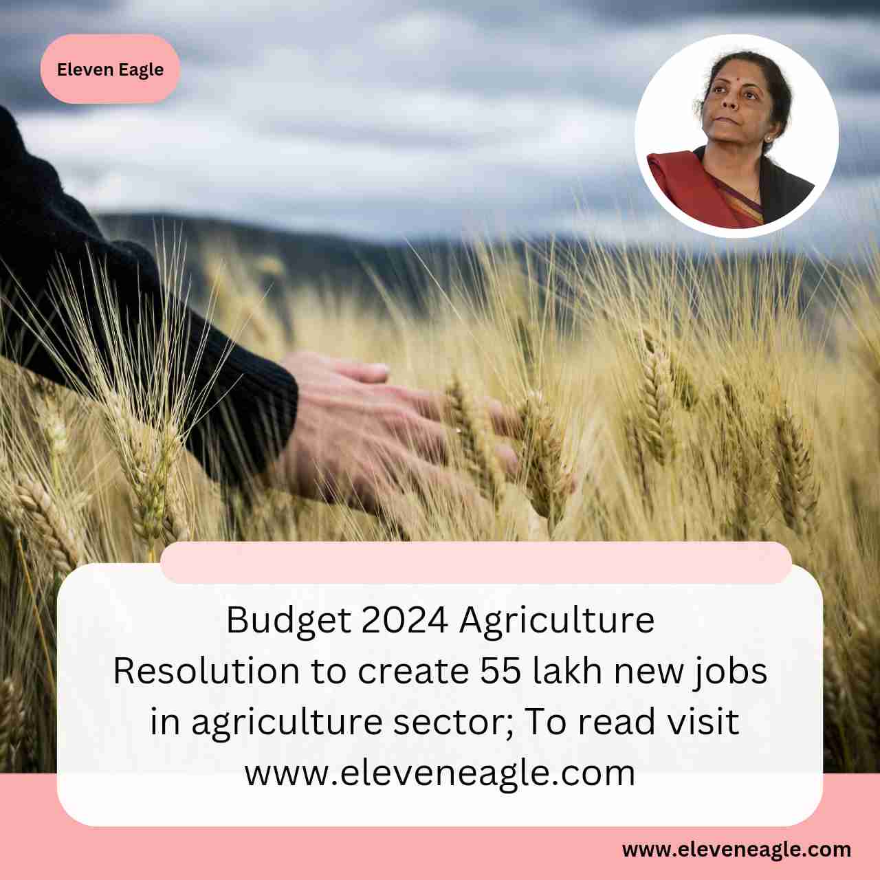 Budget 2024 Agriculture: Resolution to create 55 lakh new jobs in agriculture sector; Finance Minister said...