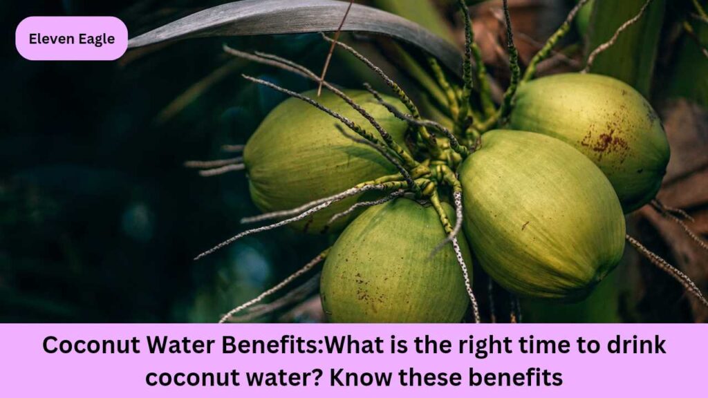 Coconut Water Benefits: What is the right time to drink coconut water? Know these benefits