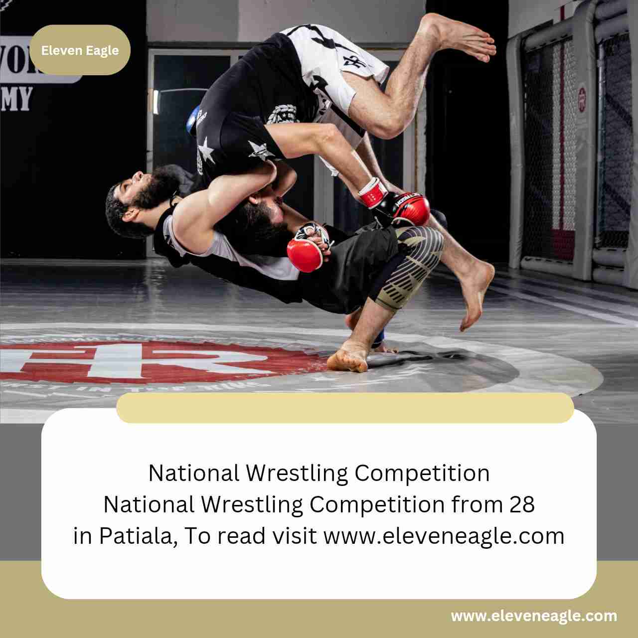 National Wrestling Competition: National Wrestling Competition from 28 in patiala