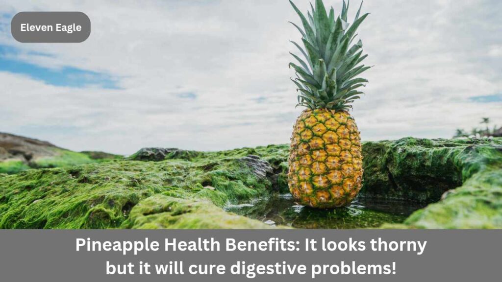 Pineapple Health Benefits: It looks thorny but it will cure digestive problems! Know the health benefits of pineapple