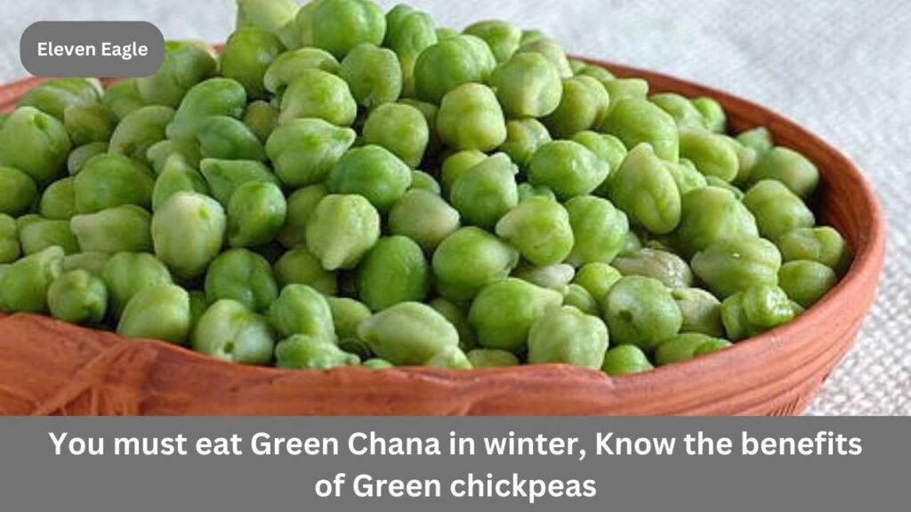 Green Gram: You must eat Green Chana in winter, Know the benefits of Green chickpeas