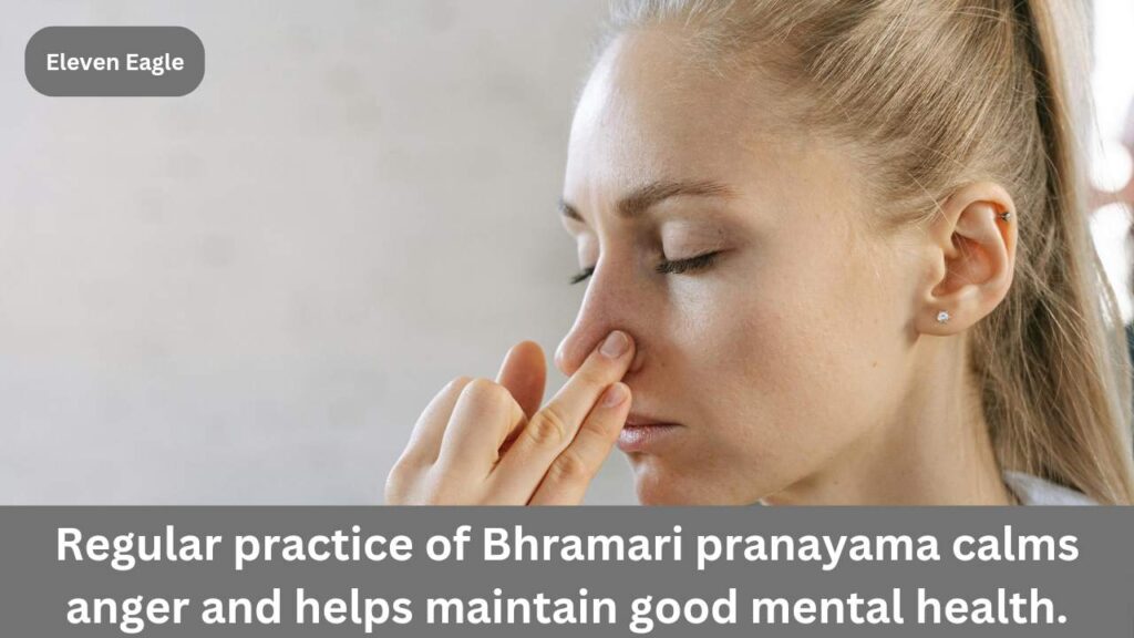 Bhramari Pranayam: Bhramari Pranayam is beneficial to calm anger, know the method and benefits