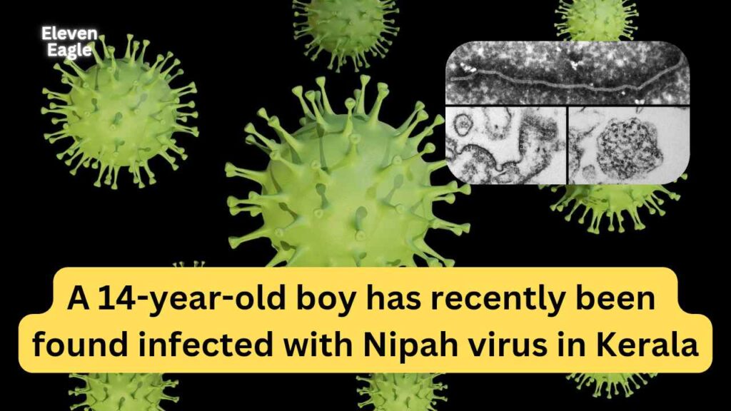 What is the Nipah Virus? How is the Nipah Virus Spread? Know the symptoms and prevention