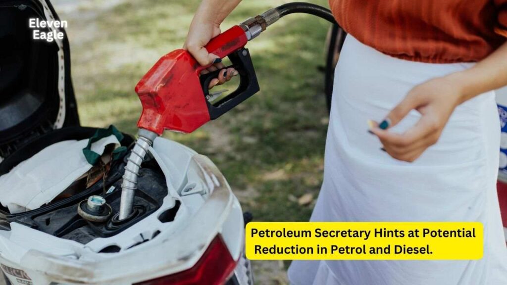 Petrol-Diesel Price Cut: Petroleum Secretary Hints at Potential Reduction