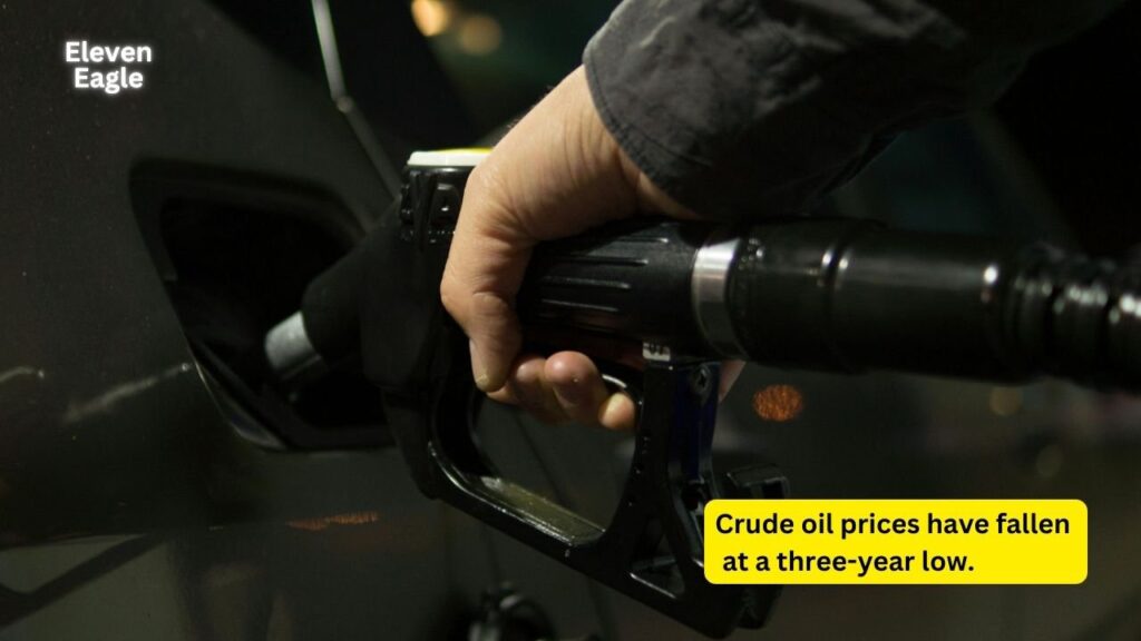 Petrol-Diesel Price Cut: Petroleum Secretary Hints at Potential Reduction